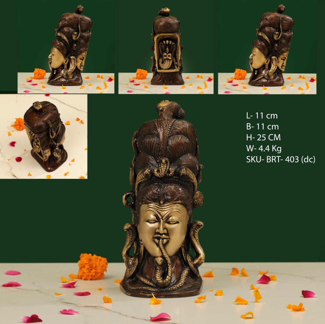 Brass Colour Shiva Head