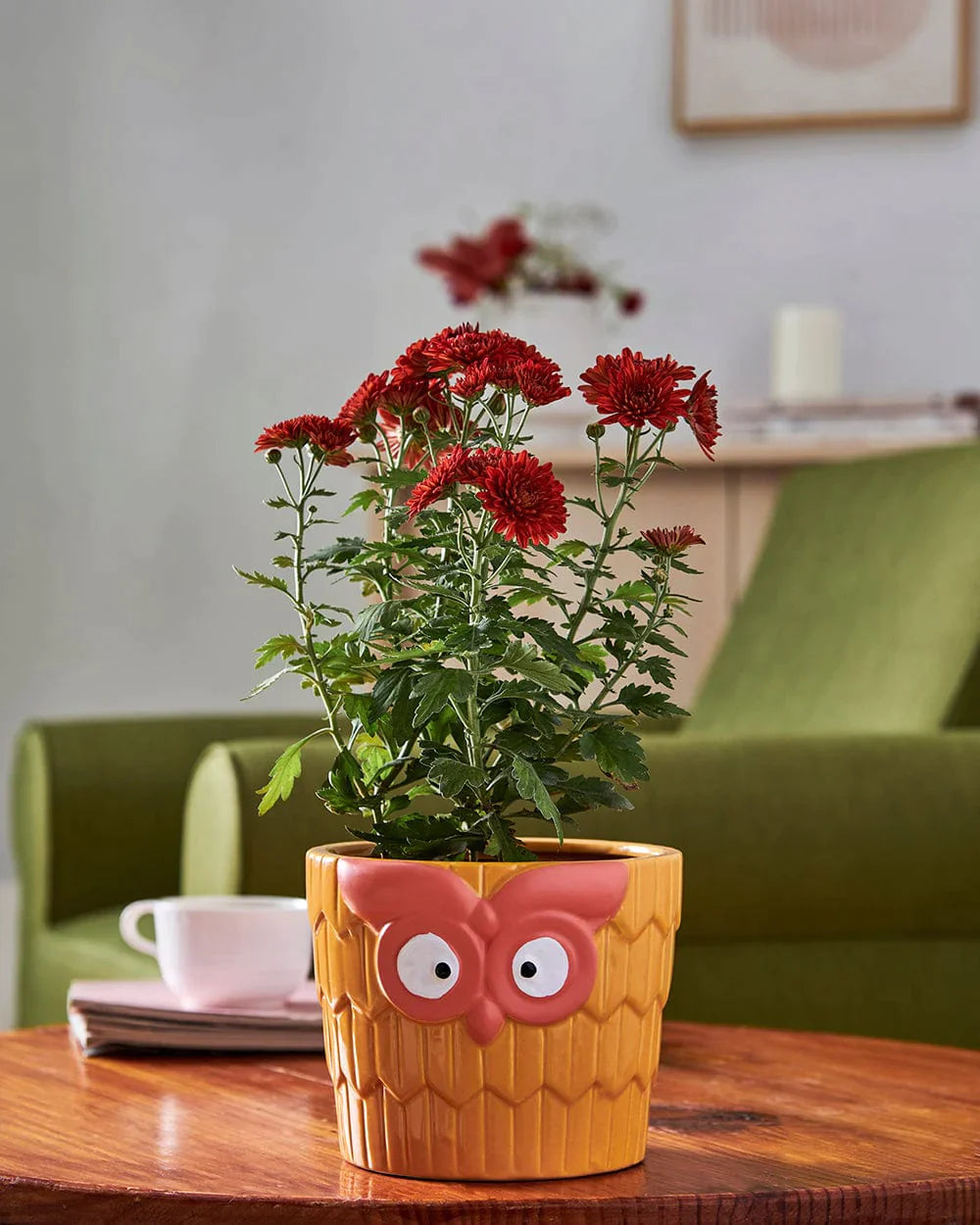 The Wise Owl Planter, Medium - Yellow - Chumbak